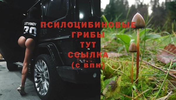 прущая мука Киреевск