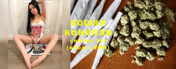 дживик Ладушкин