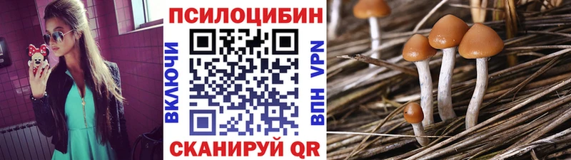 наркошоп  Брянск  Галлюциногенные грибы ЛСД 