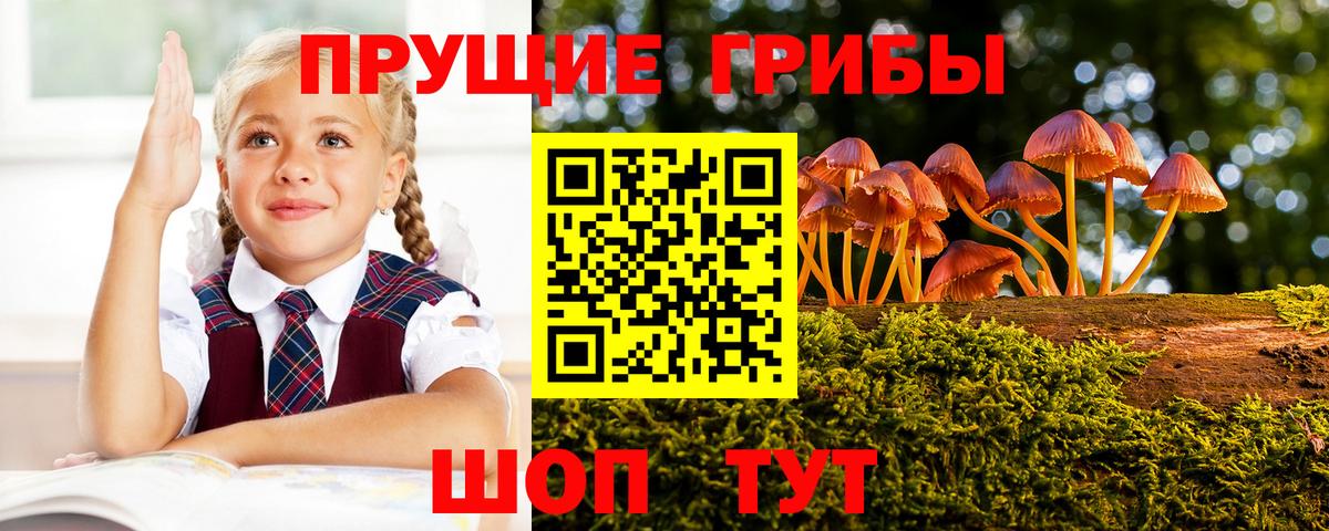 Галлюциногенные грибы ЛСД  Брянск 