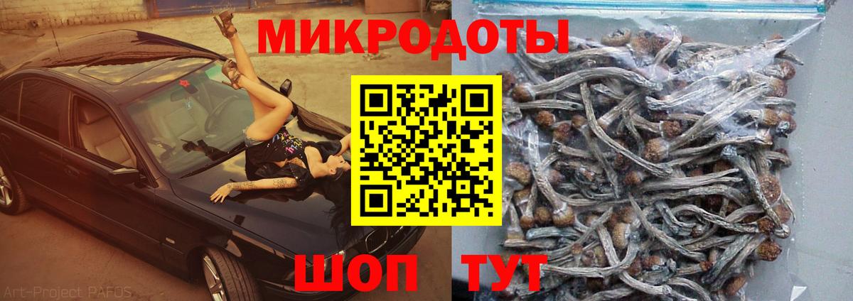 Псилоцибиновые грибы MAGIC MUSHROOMS Брянск