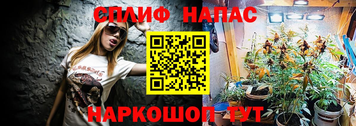 Бошки марихуана план Брянск